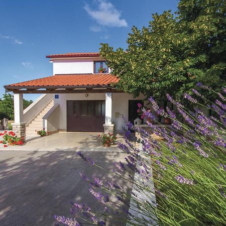 Amazing Apartment In Pazin With Wifi Katun Lindarski Dış mekan fotoğraf